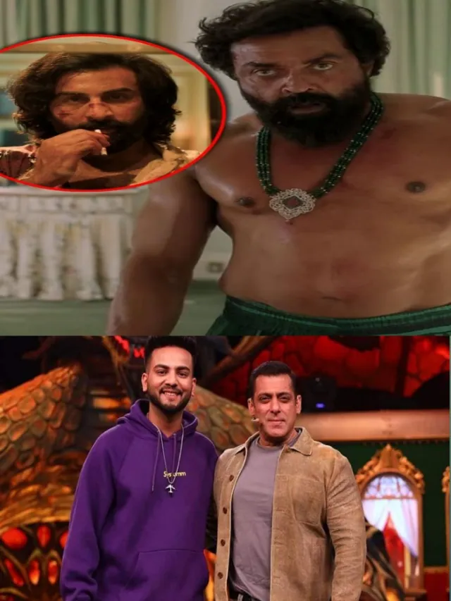 Elvish Yadav on Animal movie