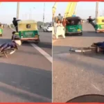 Signature Bridge Auto stunt