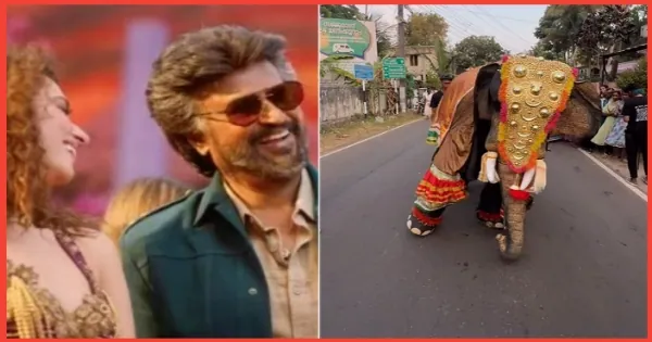 Dancing Elephant Viral Video