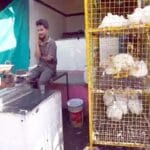 1 नवम्बर को रायपुर में मांस-मटन की बिक्री पर प्रतिबंध
