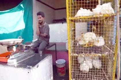 1 नवम्बर को रायपुर में मांस-मटन की बिक्री पर प्रतिबंध