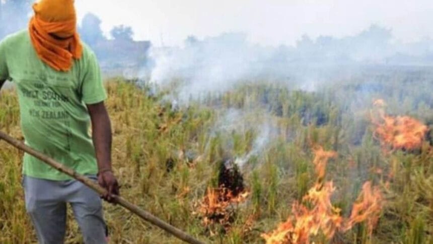 पराली जलाई तो अब लगेगा 30,000 रुपये का जुर्माना, केंद्र सरकार ने दोगुनी की राशि