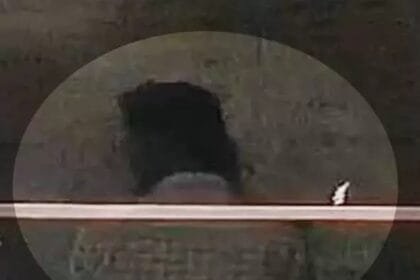 छत्तीसगढ़: छात्रा के साथ अश्लील हरकत का वीडियो वायरल, जांच शुरू