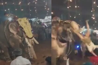 केरल: मंदिर उत्सव में हाथी का कहर, 17 घायल, डरावना वीडियो वायरल