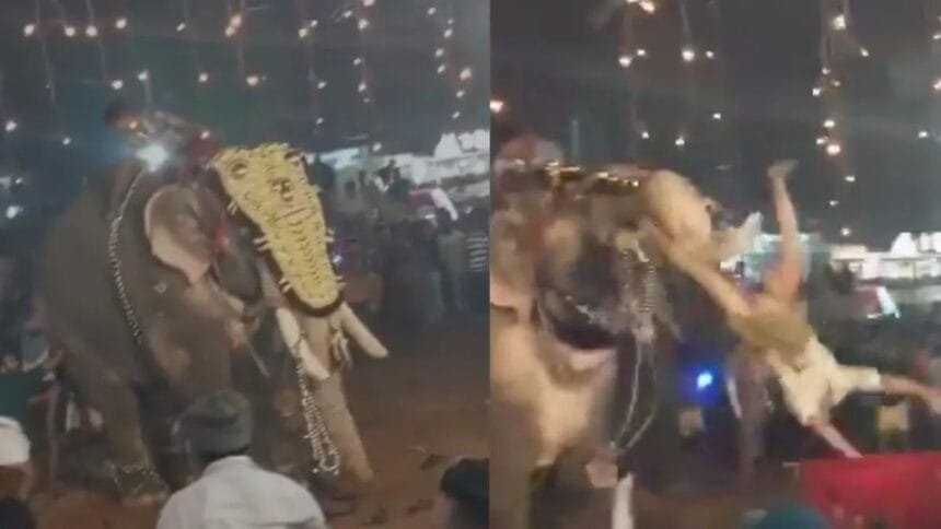 केरल: मंदिर उत्सव में हाथी का कहर, 17 घायल, डरावना वीडियो वायरल