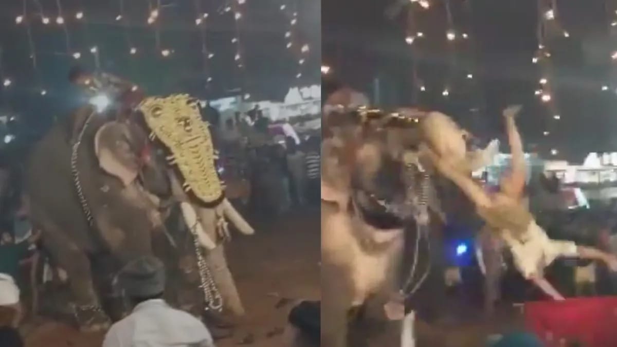केरल: मंदिर उत्सव में हाथी का कहर, 17 घायल, डरावना वीडियो वायरल