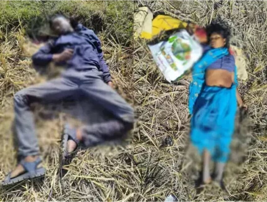 सूरजपुर में पत्रकार के परिवार पर हमला, मां, पिता और भाई की हत्या