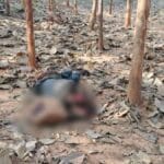 CG Murder Case : भैसमा में युवक का शव मिलने से हड़कंप, पुलिस जांच में जुटी