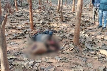 CG Murder Case : भैसमा में युवक का शव मिलने से हड़कंप, पुलिस जांच में जुटी