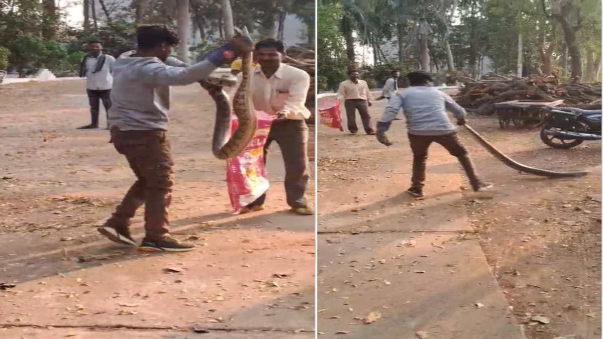 Balod Snake Rescue: श्मशान घाट से निकला 7 फीट लंबा अजगर, रेस्क्यू के बाद मिली राहत