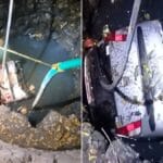 महाराष्ट्र: कार चलाना सीखते समय हादसा , दो सगे भाइयों समेत तीन की मौत