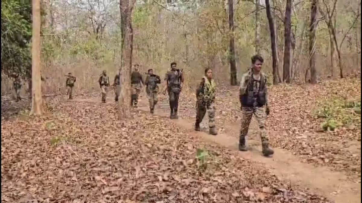 दंतेवाड़ा: महिला नक्सली ढेर, शव के पास से इंसास राइफल हुआ बरामद