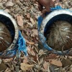 नारायणपुर में नक्सलियों की बड़ी साजिश नाकाम, 5 किलो का कुकर IED बरामद