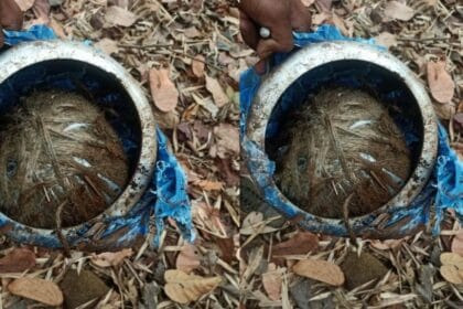 नारायणपुर में नक्सलियों की बड़ी साजिश नाकाम, 5 किलो का कुकर IED बरामद