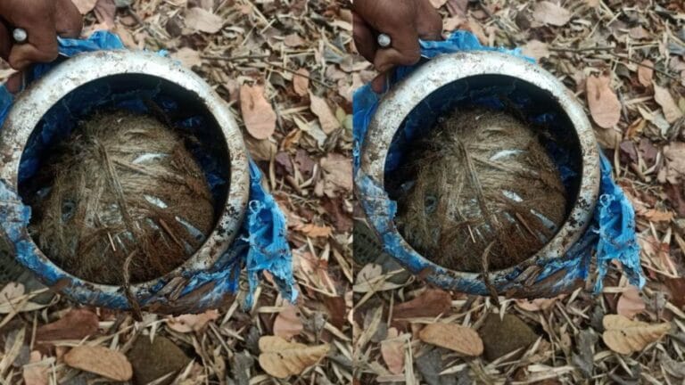 नारायणपुर में नक्सलियों की बड़ी साजिश नाकाम, 5 किलो का कुकर IED बरामद