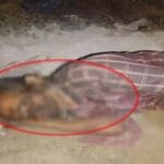 रायपुर: हीरा ग्रुप फैक्ट्री के पीछे मिला मजदूर का शव, इलाके में मची सनसनी