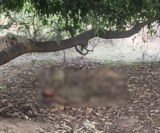 रायगढ़: संदिग्ध हालात में मिली पति पत्नी की लाश, पुलिस जांच जारी