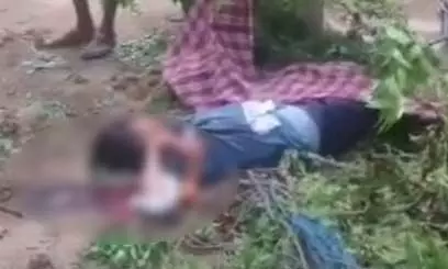 महासमुंद: कटर मशीन से दर्दनाक हादसा, पेड़ काटते समय युवक की मौत