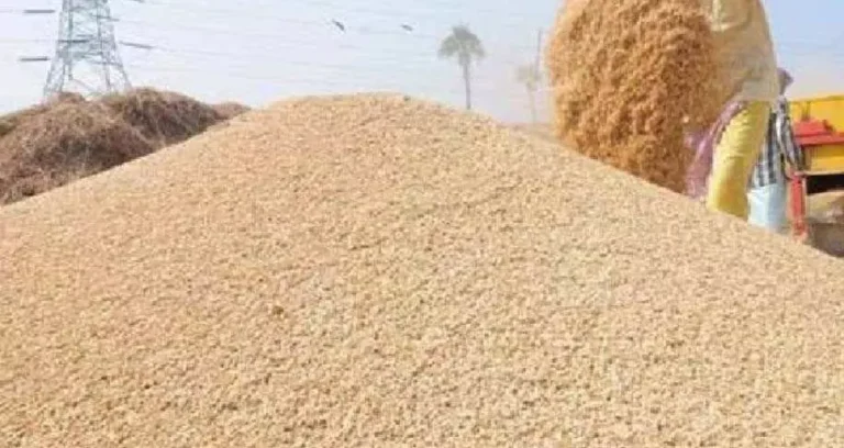 महासमुंद में 1.65 करोड़ का धान घोटाला: 3 कर्मचारी सस्पेंड