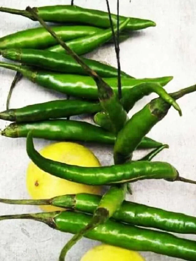 नींबू-मिर्च के चमत्कारी उपाय से पाएं धन लाभ