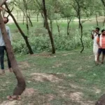 बिलासपुर: परिवार छोड़कर रह रहा युवक फंदे से लटका मिला, जांच जारी