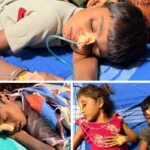 नारायणपुर: खेल-खेल में खा लिया ज़हरीला फल, चार बच्चे अस्पताल में भर्ती