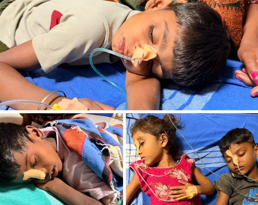 नारायणपुर: खेल-खेल में खा लिया ज़हरीला फल, चार बच्चे अस्पताल में भर्ती