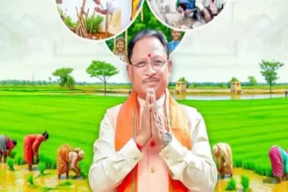 हरेली की हरियाली में रंगा छत्तीसगढ़, CM से लेकर गांव तक जश्न!