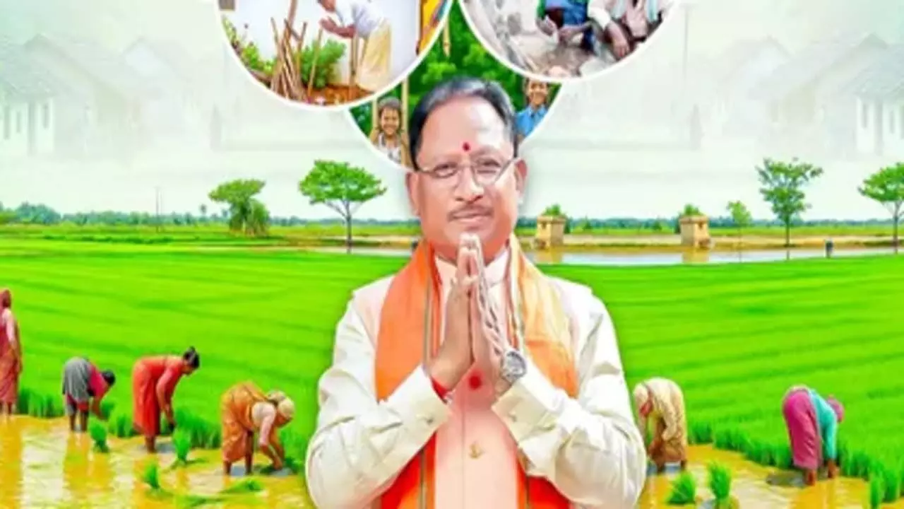 हरेली की हरियाली में रंगा छत्तीसगढ़, CM से लेकर गांव तक जश्न!