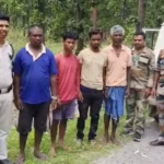 बलरामपुर: बछड़े की हत्या कर मांस बांटा, चार ग्रामीण गिरफ्तार
