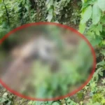 रायगढ़: जंगल में मिली पूर्व विधायक के भाई की लाश