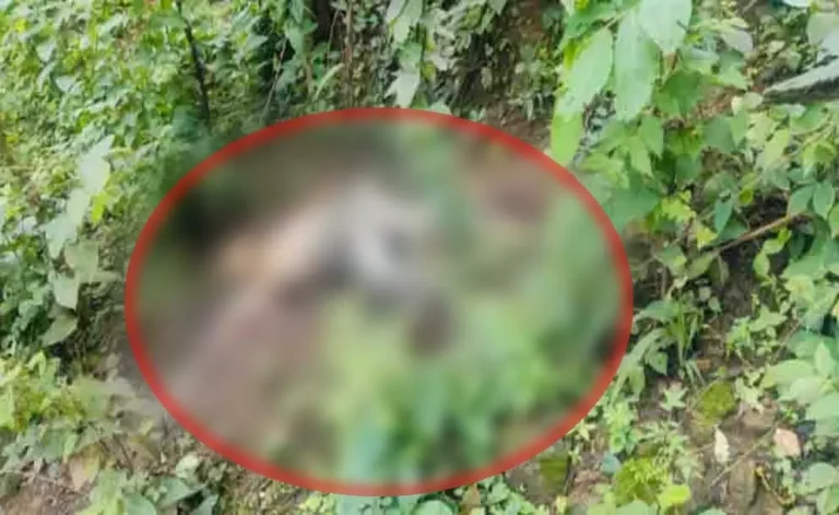 रायगढ़: जंगल में मिली पूर्व विधायक के भाई की लाश