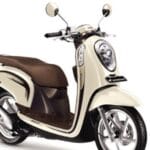 Honda Scoopy जल्द भारत में लॉन्च – क्या Activa को देगी टक्कर?