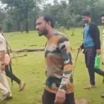 रायगढ़ के जंगल में दिखे बाघ के निशान, वन विभाग अलर्ट मोड पर : Tiger in Raigarh