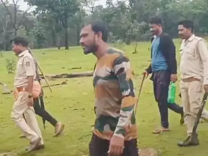 रायगढ़ के जंगल में दिखे बाघ के निशान, वन विभाग अलर्ट मोड पर : Tiger in Raigarh