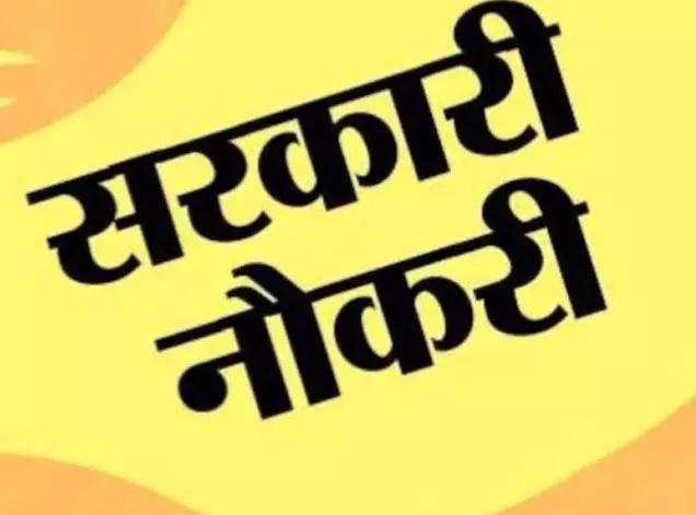 कोरबा के 15 कॉलेजों में भर्ती शुरू: सफाईकर्मी और चौकीदार के 29 पद खाली