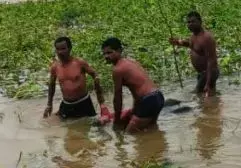 आरंग: महानदी पुल से लापता महिला की लाश बरामद : Arang woman dead body