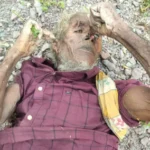 सेरीखेडी में मिला अज्ञात शव