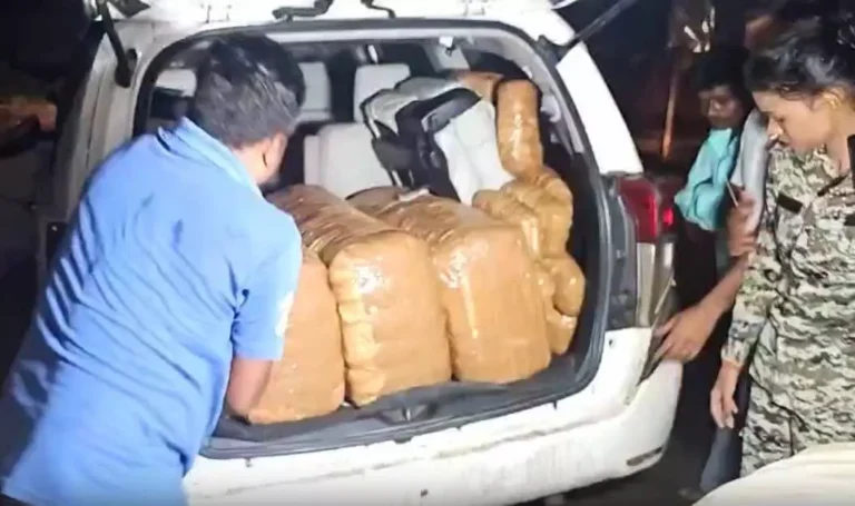 गरियाबंद में इनोवा कार से 30 लाख का गांजा जब्त, युवती समेत दो युवक गिरफ्तार