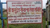 bilaspur-shri-vasudev-gaushala-25-cows-death-controversy
