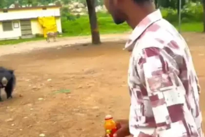 Bear cold drink incident mahasamund