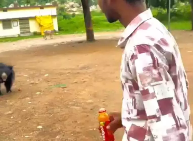 Bear cold drink incident mahasamund