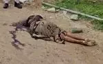 bilaspur-son-kills-mother-over-witchcraft-doubt