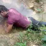 raigarh-electric-fence-fatal-accident