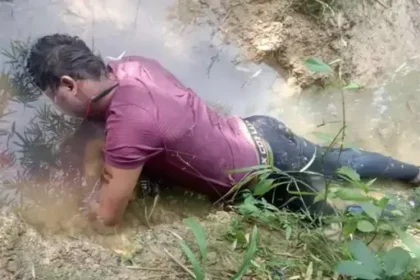 raigarh-electric-fence-fatal-accident