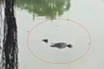 Saddoo Raipur Dead Body Found