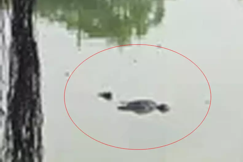 Saddoo Raipur Dead Body Found