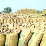 chhattisgarh-rice-procurement-2025-starts-15-november