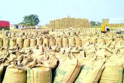chhattisgarh-rice-procurement-2025-starts-15-november