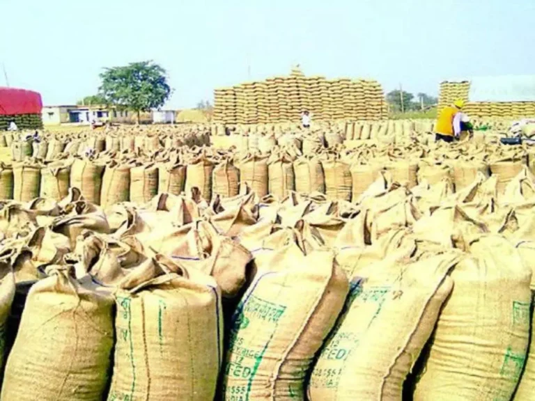 chhattisgarh-rice-procurement-2025-starts-15-november